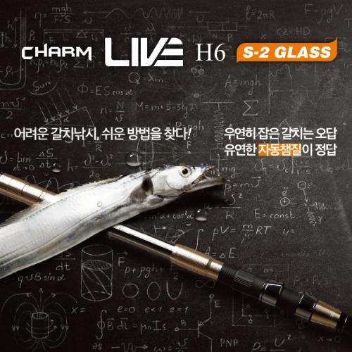 CHARM LIVE H6 (S2 GLASS) (참 라이브 H6 (S2 GLASS))